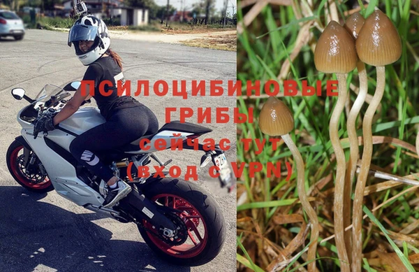 mix Дмитров