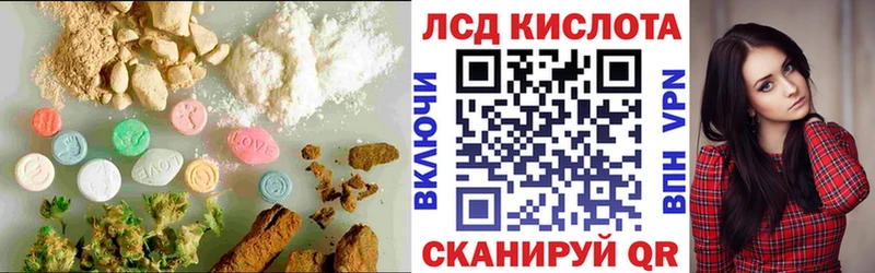 Купить закладки  Княгинино  LSD-25 экстази ecstasy 