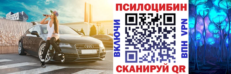 Псилоцибиновые грибы Cubensis  Купить закладки  Княгинино 
